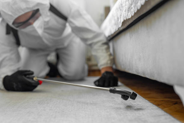 Professional Termite Control technician working in Barnwell, SC