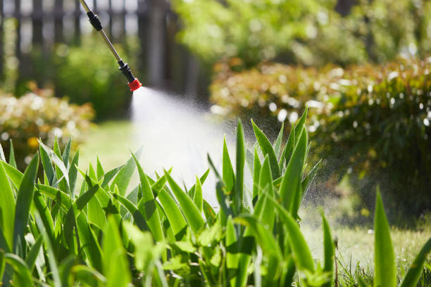 24/7 Emergency Termite Control experts in Barnwell, SC
