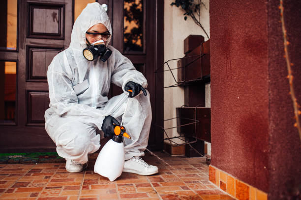 Reliable Termite Control contractor in Barnwell, SC by Nex Pest Control