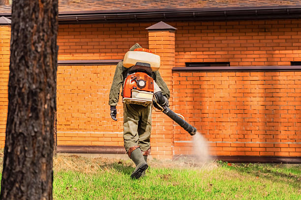 Top rated local Termite Control specialists in Barnwell, SC